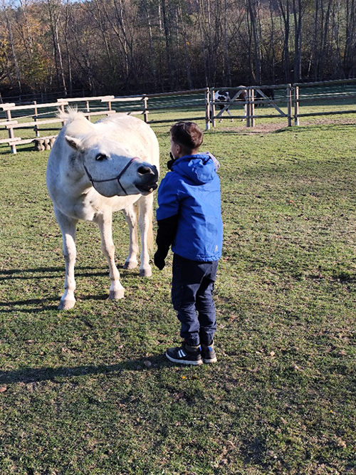 Podpora volnočasových aktivit